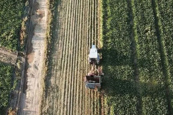 12,5 Milyar Liralık Dev Destek Kırsal Kalkınmaya Akıyor
